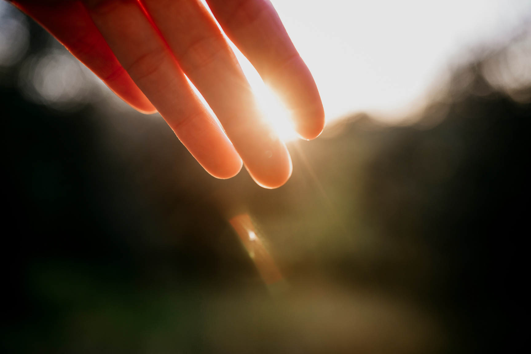 Sunlight Hand